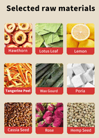 Teh Pelangsing Detox - Teh Herbal Campuran untuk Menurunkan Berat Badan, Teh Diet Alami dalam Kantong untuk Minum Sehari-hari