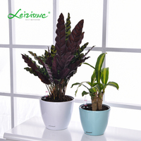 Pot pour plantes décoratives de forme ronde, vente directe d'usine, arrosage automatique d'intérieur