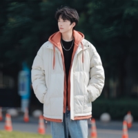 Veste en duvet pour homme, veste d'hiver en duvet, chapeau personnalisé chaud et décontracté avec fermeture éclair, duvet épais, adapté aux températures froides