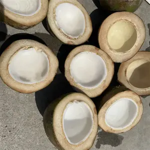 High Quality Coconut Half Cutting Machine For Sale