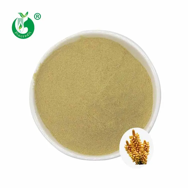 Organic Raw Pine Pollen Powder High Quality Pine Pollen Powder