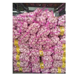 <span class=keywords><strong>2025</strong></span> Mới Tươi Tinh Khiết Trắng Pealed Tỏi 5.0Cm-5.5Cm Tinh Khiết Tỏi Trắng Tại Giá Thị Trường Cho Bán - Product Image 1