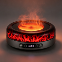 Cuisinière électrique en céramique infrarouge à flamme simulée 1600W pour la maison, chauffe-eau et chauffage d'appoint 110V/220V, compatible avec plusieurs casseroles