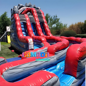 Toboggan gonflable géant commercial aire de jeux extérieure enfants glissade sèche humide et videur sautant avec piscine pour adultes - Product Image 4