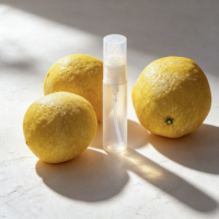 Mini Atomiseur de Parfum en Gros, Flacon de Voyage Rechargeable, Bouteille Vaporisateur en Plastique Dépoli Style Stylo, Brume Fine, Échantillon Cosmétique