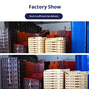 Contenitore <span class=keywords><strong>per</strong></span> Pasticceria in Plastica Solida di Medio Spessore, Riciclabile, <span class=keywords><strong>per</strong></span> <span class=keywords><strong>Pane</strong></span>, Toast, Hamburger e Dolci - Cesto <span class=keywords><strong>per</strong></span> la Cottura - Product Image 4