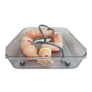 Simulación Educativa De ciencia médica, modelo de entrenamiento de colon suave, modelo de simulación de colonoscopia, entrenamiento de enfermería - Product Image 3