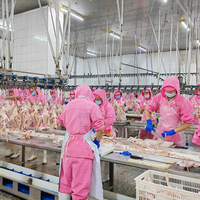 ZB 500Bph-13000Bph Abattoir de volaille d'abattoir de poulet personnalisé avec équipement de traitement Halal