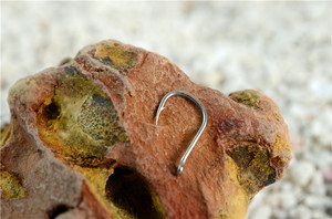 Teaser nhà máy giá chất lượng hàng đầu mạnh nhất Mutsu vòng tròn Móc Câu Cá - Product Image 5