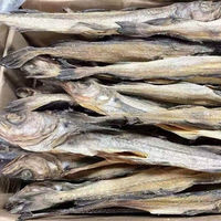 Meilleures ventes de produits commerciaux : Poisson séché de haute mer, fruits de mer séchés au soleil naturels, morue de l'Alaska séchée, poisson séché en gros