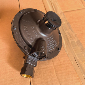 Regulador de gas GLP de segunda etapa de baja presión REGO LV5503B6 36kg/h para quemador DN20 - Product Image 3