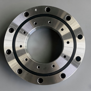 Cuscinetti a Rulli Incrociati di Precisione RU124UUCC0P5 per Bracci Robotici, Cuscinetti Orientabili e Cuscinetti per Giunti di Robot Industriali - Product Image 5