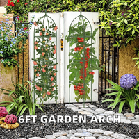 Offre Spéciale : Arche de Jardin en Fer Treillis Thermolaqué de 1,80 m de Haut pour Roses Grimpantes et Fruits – Support de Treillis et Portail de Clôture