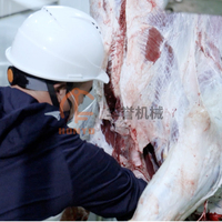 Nouvelle machinerie d'abattoir halal pour bovins et ovins avec moteur, équipement d'abattage à haute efficacité PLC