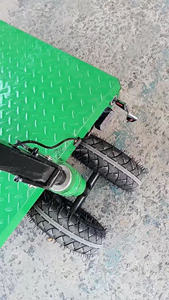 Carrito eléctrico con batería de 800W, carros planos, carga máxima, 300kg, 1000kg, carro de trabajo plano pequeño de ladrillo de carga - Product Image 5
