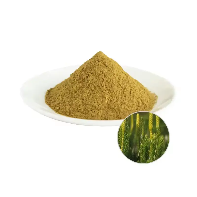 Mejor Precio Licopodium Spore Powder 100% natural