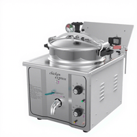 Nouvelle friteuse à pression électrique TRUWIN Chicken Express 220V en acier inoxydable, friteuse de table 16L, haute productivité, pour restaurant