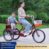 Tricycle à pédales transfrontalier DomeRide YSD-006, Véhicule de loisirs, de transport de marchandises et d'exercice pour personnes âgées, pour la livraison de nourriture, capacité 150 kg
