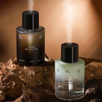 Diffuseur de parfum d'ambiance parfum thé, spray d'aromathérapie, huile essentielle, parfum pour salon, chambre, toilettes, air frais 120-180 jours