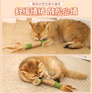 Bâton à mâcher à la catnip, grande taille, jouet pour chat, nettoyage des dents, bois durable pour chats - Product Image 3