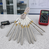 Allumeur à résistance pour poêle à granulés électrique 300W, 230V, en acier inoxydable, filetage 3/8