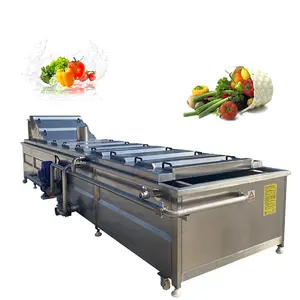 Máquina de esterilización de conservas de frutas Máquina de pasteurización de verduras enlatadas Línea de pasteurización para verduras netas