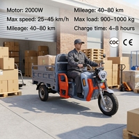 Tricycle cargo électrique 2000W à 3 roues, carrosserie ouverte, pour adultes, pneus larges, Tuk Tuk, vélo cargo électrique