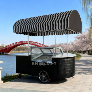 OEM OEM CE Approved 2 Wheel Fiberglass Cargo Bike with Freezer Food Vending Carts for Sale Ice Cream Electric Tricycle - Product Image 1