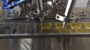 Machine d'emballage sous blister électrique automatique avec moteur et pompe pour confiserie - Product Image 4