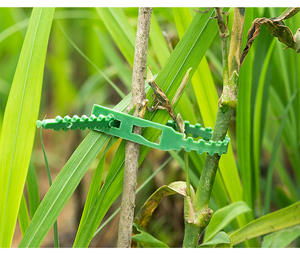 Juego <span class=keywords><strong>de</strong></span> Clips y Ataduras Modernas <span class=keywords><strong>de</strong></span> PP Impermeable para Agrupar y Sostener Plantas Trepadoras como Tomates y Pepinos - Product Image 5