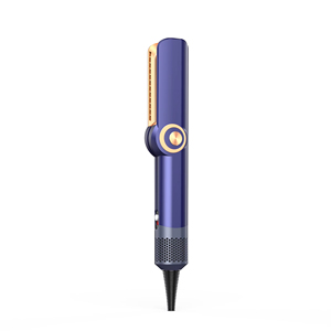 Asciugacapelli e <span class=keywords><strong>Piastra</strong></span> Elettrica 2-in-1 LCD, Strumento Ionico ad Alta Velocità per Capelli Bagnati/Asciutti, Piastre Rivestite in Ceramica, Temperatura Regolabile RV - Product Image 1