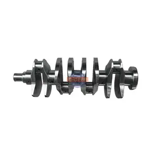 Custom Cast Iron Engine Parts Billet Crankshaft for Peugeot 206 Crankshaft