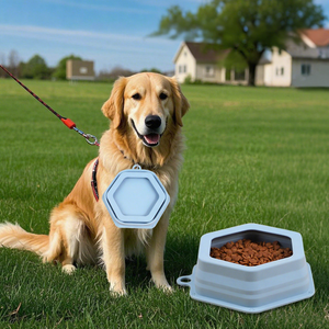 थोक प्रीमियम व्यक्तिगत सिलिकॉन पालतू सिलिकॉन धीमी फीडर कटोरे पोर्टेबल फोल्डेबल सिलिकॉन धीमी फीडर कटोरे - Product Image 4