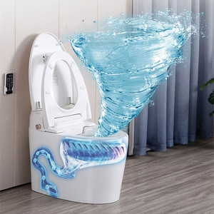 <span class=keywords><strong>Prix</strong></span> d'usine Salle de bain WC Bidet électronique automatique Toilette intelligente intelligente pour la maison - Product Image 1