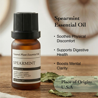 Huile Essentielle de Menthe Poivrée et Menthe Verte OEM 10ml 100% Pure Distillée à la Vapeur Douce Antibactérienne Soin de la Peau Soulagement de la Douleur Anti-Gonflement