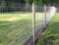 Clôture en maille protectrice pour bétail, pour les enclos de pâturage et les projets d'enclos pour animaux de grande taille