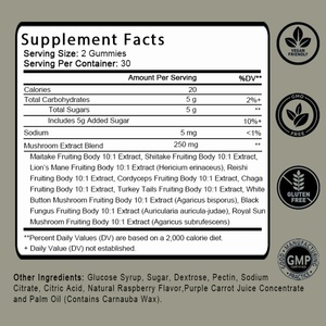 Gomitas de Hongos OEM/ODM, Suplemento Funcional de Hongos 10 en 1 para el Estado de Ánimo y la Concentración con Melena de León, Cola de Pavo y Cordyceps - Product Image 2