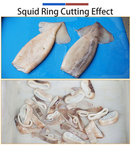 Squid <b>Ring</b> Cutting Machine Stainless Steel Fish Processing <b>Cutter</b> Conveyor Type for Seafood Processing - Product Image 5