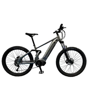 J Elektrische Fiets 28 29 Inch Fiets Mountainbike Volledige Vering 750W 48V Elektrische Mountainbike