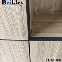 Casier Brikley moderne en HPL 12 mm à effet bois pour salle de sport ou étudiants, démontable et assemblé avec une structure en stratifié compact