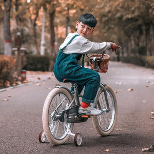 จักรยานเด็ก3-9ปี,จักรยานเด็กล้อเสริม,จักรยานเด็กวินเทจญี่ปุ่นชายและหญิง - Product Image 2