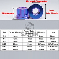 Écrous en titane de qualité supérieure M6 M8 M10 M12 pas 1,25 M14 pas 1,5 M16 pas 1,5 Torx à bride hexagonale, fixation en titane personnalisée