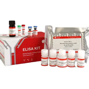 Hot Sale Human IL-6 (Interleukin 6) ELISA Kit for Research Use
