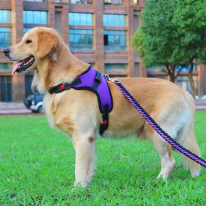 Arnés de Nailon Resistente C043 para Perros, Talla XL, Extra Grande, Grande, Mediana, Pequeña, con Diseño de Letras, Chaleco Acolchado con Accesorios para Husky - Product Image 4