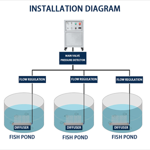 Máy tạo oxy nồng độ cao cho trang trại cá <span class=keywords><strong>PSA</strong></span> 10L, máy tạo oxy áp suất cao 0.4MPa - Product Image 4