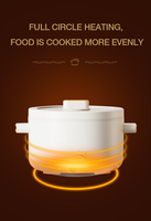 Tout en un poêle portable électrique mini marmite cuiseur à riz multifonctionnel pour pâtes, Shabu-Shabu, flocons d'avoine, soupe et oeufs