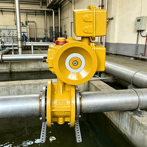 Actuador Eléctrico de Cuarto de Vuelta de 100 Nm, Recorrido de 30s, Impermeable IP67 para Válvulas de Mariposa en Tuberías de Petróleo y Gas - Product Image 3