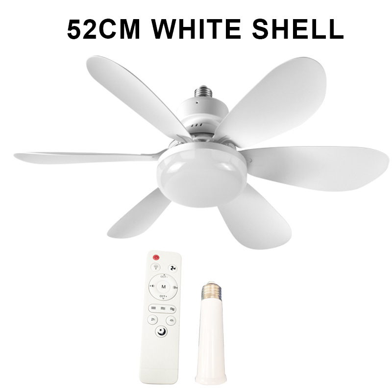 Coquille de whiet de 52cm