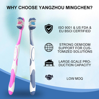 Brosse à dents et gratte-langue, logo imprimé sur mesure, emballage personnalisé, emballage individuel, usine de brosses à dents certifiée CE FDA