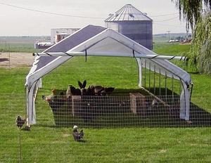 Panier de poulet en acier inoxydable, <span class=keywords><strong>abri</strong></span> de vie - Product Image 3